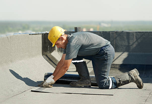 Best Geographic-Specific Insulation Services in Myrtle Creek, OR